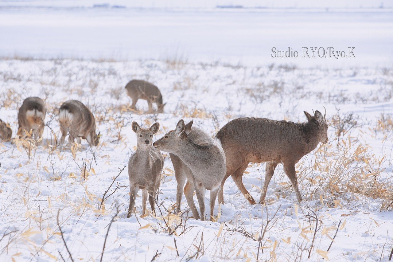 大好物でご機嫌ランチ♡ からの、母の愛情がやけに重たかった夜 実話でお届け！ 働く女性のあれこれOggi.jp