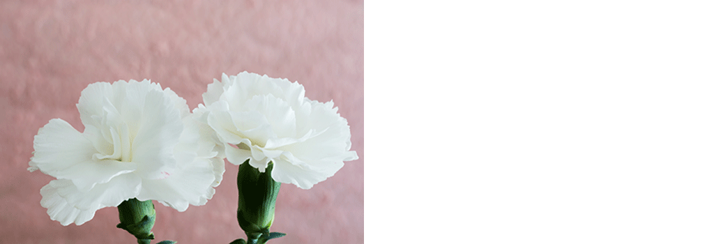 片思いの花言葉ミライ科 - 進研ゼミ中学講座ブログ