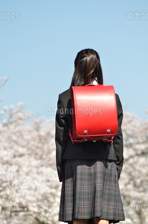 小学生の女の子 後ろ姿 ランドセル の Stock フォトAdobe Stock