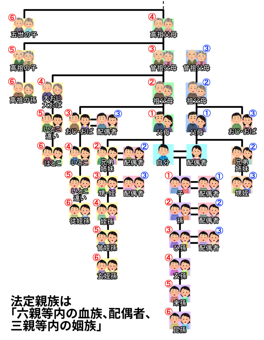 血縁検査DNA鑑定・遺伝子検査のseeDNA