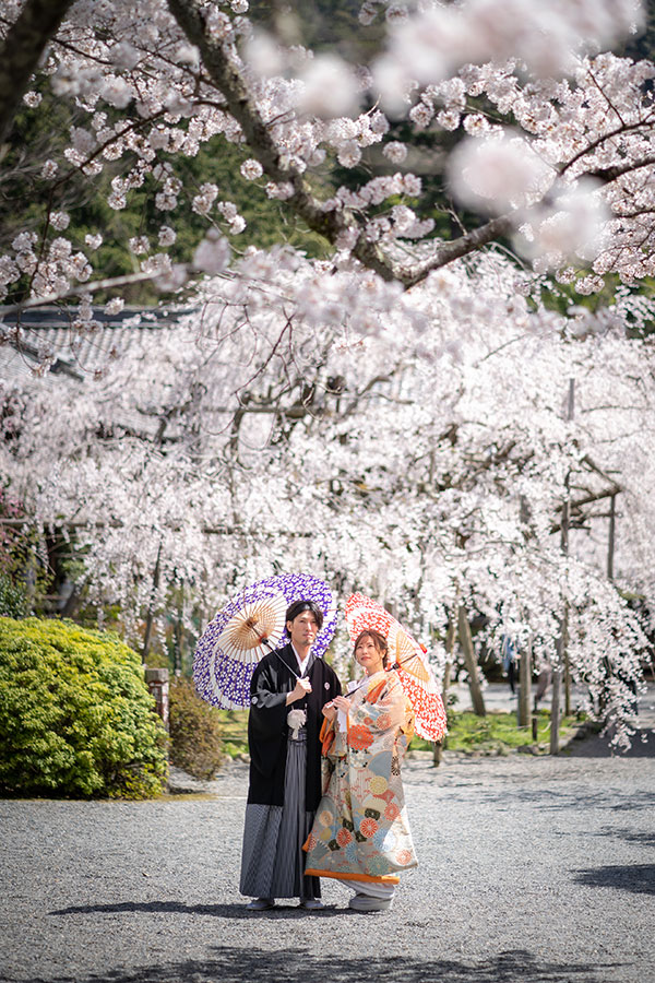 春婚さん必見♡可愛いすぎる桜テーマのウェディングアイディア20選ウェディングニュース