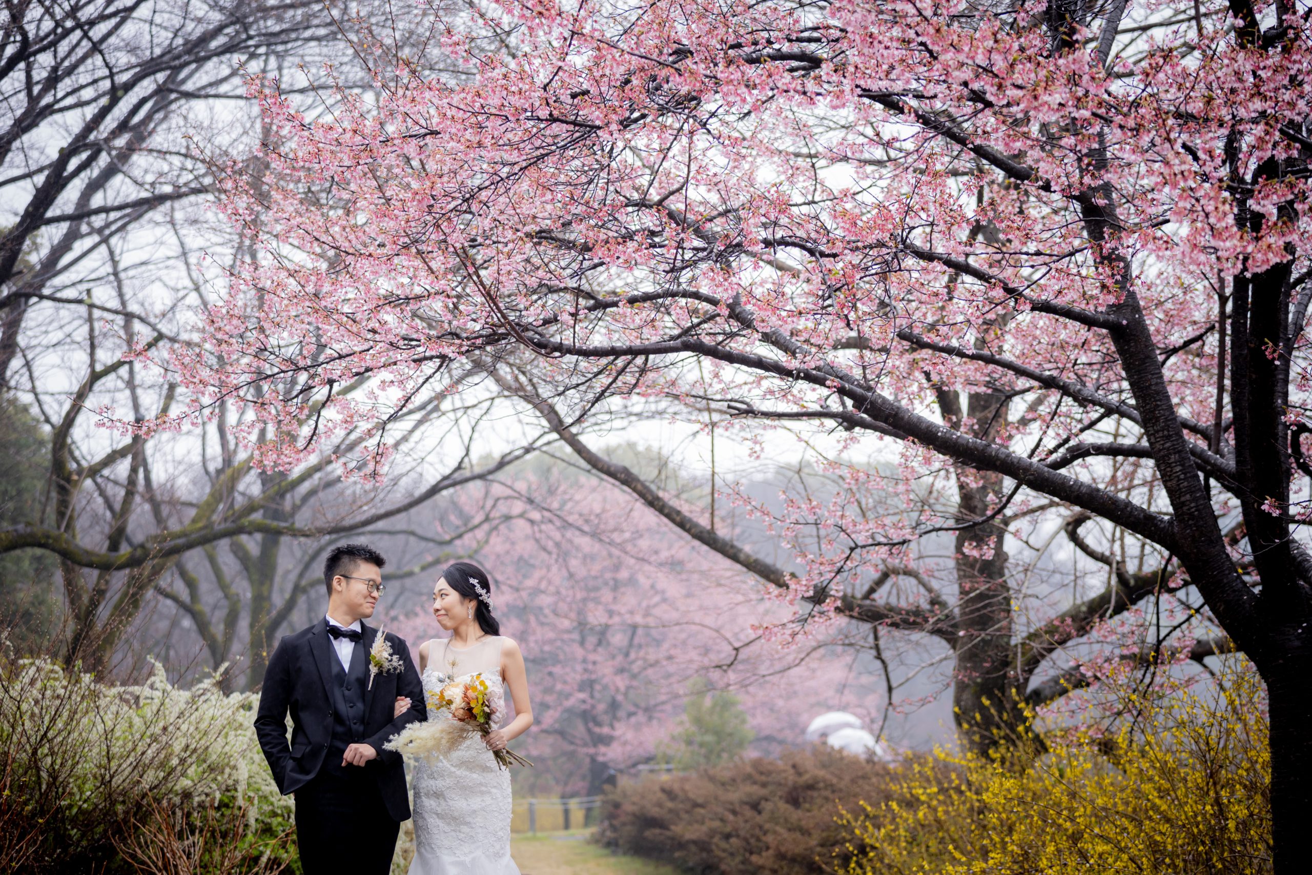 桜前撮り」がオススメな理由と注意点！東京で撮影できるスポットも フォト婚コラム フォトウェディングのecoo