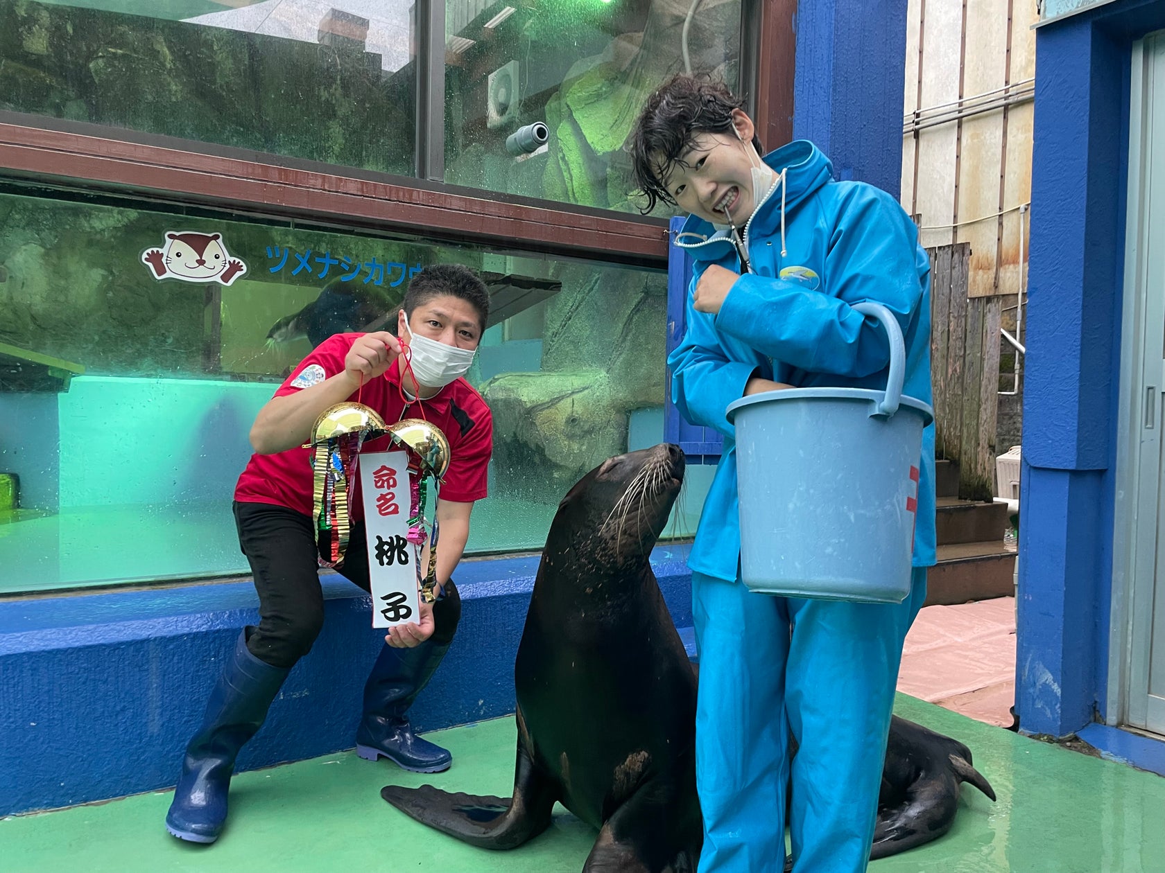 TVアニメ『クレヨンしんちゃん』井上喜久子さん・ほの花さんの母娘声優が共演決定!アニメイトタイムズ