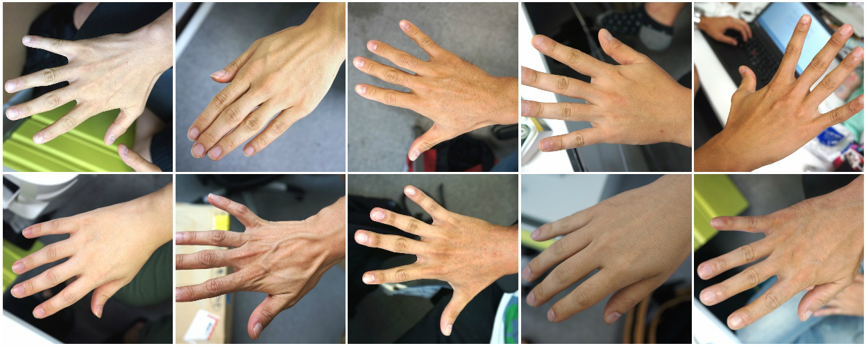 モテる男性の手は○指が長い!? 『ざんねん？ はんぱない！ からだのなかのびっくり事典』⑧ダ・ヴィンチWeb