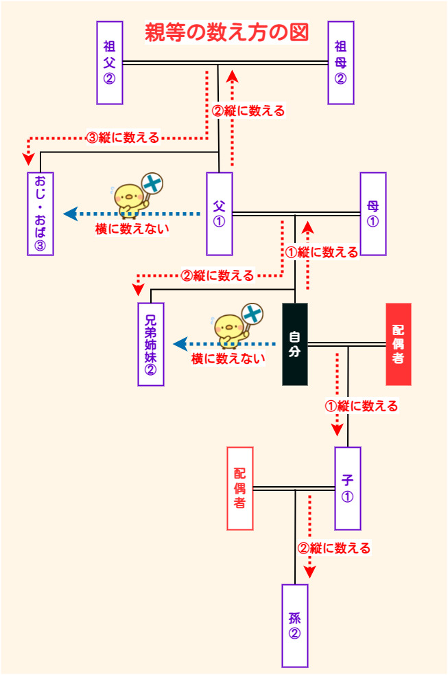 親等とは？数え方や親等図をわかりやすく紹介！いとこや兄弟、叔父などの考え方