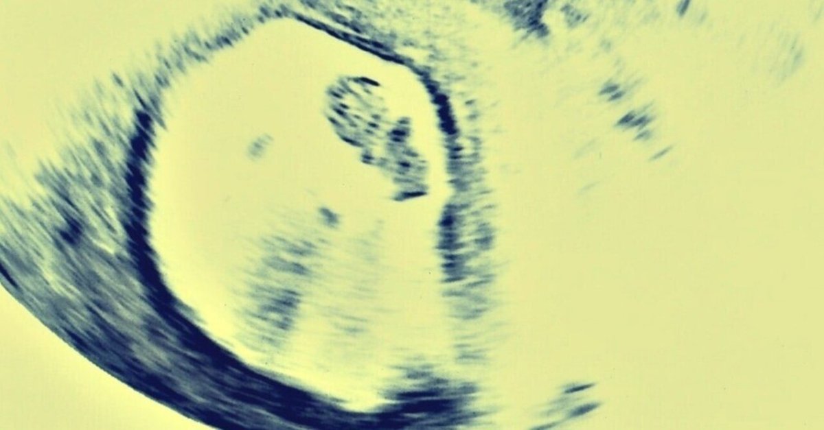 ふるさとに帰るという選択肢ニッポン手仕事図鑑