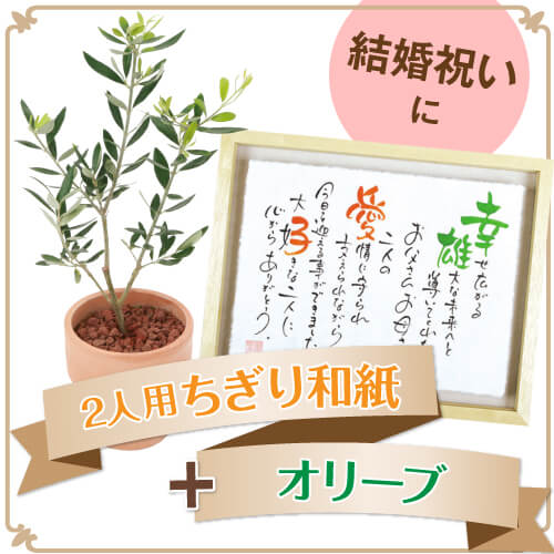 オリーブの木 オリーブ ６号鉢 オリーブ農園 鶴亀園さんの香川オリーブ 観葉植物 鉢植え 引越し祝い 新築祝い おしゃれ 友人 誕生日 プレゼント男性 女性 お祝い 結婚祝い 結婚記念日 開店祝い 開業 周年祝い お誕生日 ギフト 敬老の日