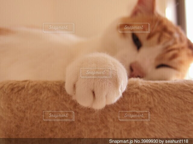 中学部生徒会新役員によるグータッチあいさつ運動ミュンヘン日本人国際学校