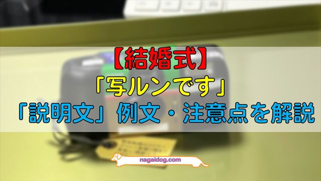 写ルンです 説明ボードA4 ウェディング カメラマン ウッド フラワー 送料無料Wedding *momo-noha