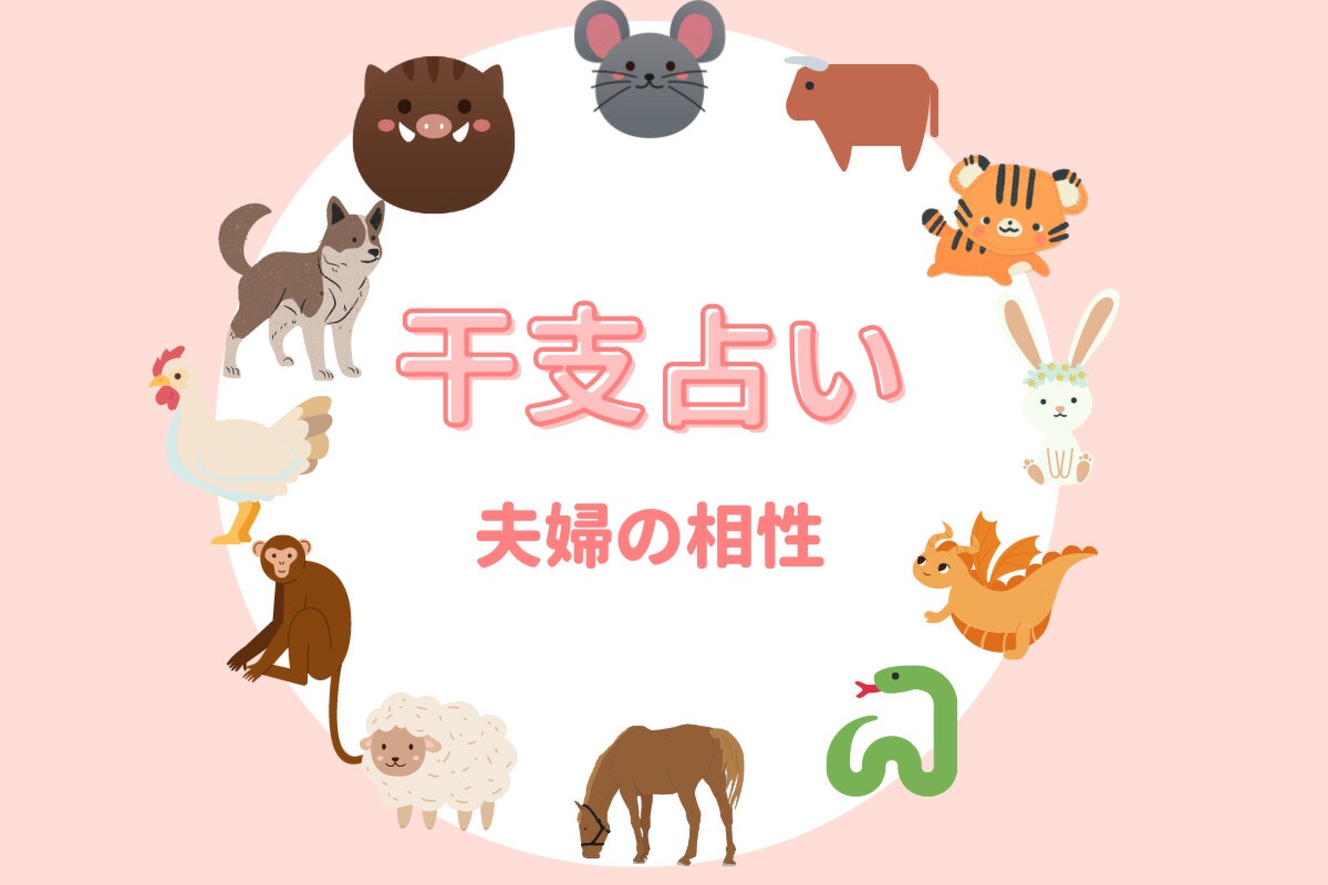 同じ干支の相性はいいの？良くないの？相性がいい干支の組み合わせSPIBRE