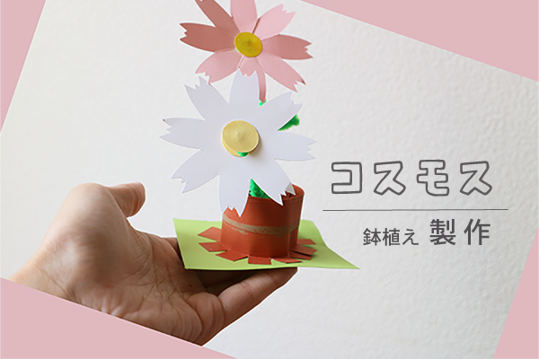 3歳児 製作 コスモスTikTok
