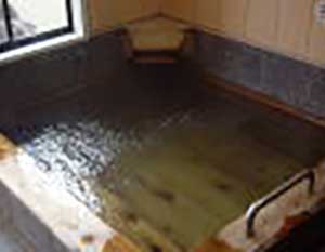 温泉・施設天然家族温泉 蘇ざき