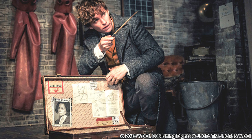 ニュートとティナのロマンチックな物語TikTok