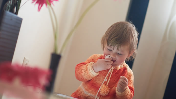 たっちはいつできる？赤ちゃんのひとり立ちの時期・練習ベビリナ