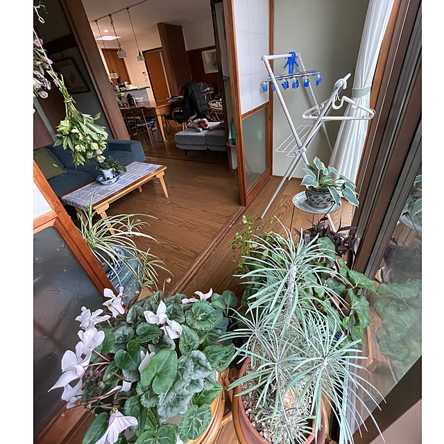 実例あり 縁側とは？種類や活用方法、注意点を詳しく解説 アットホーム 住まい・不動産のお役立ち情報＆ツール