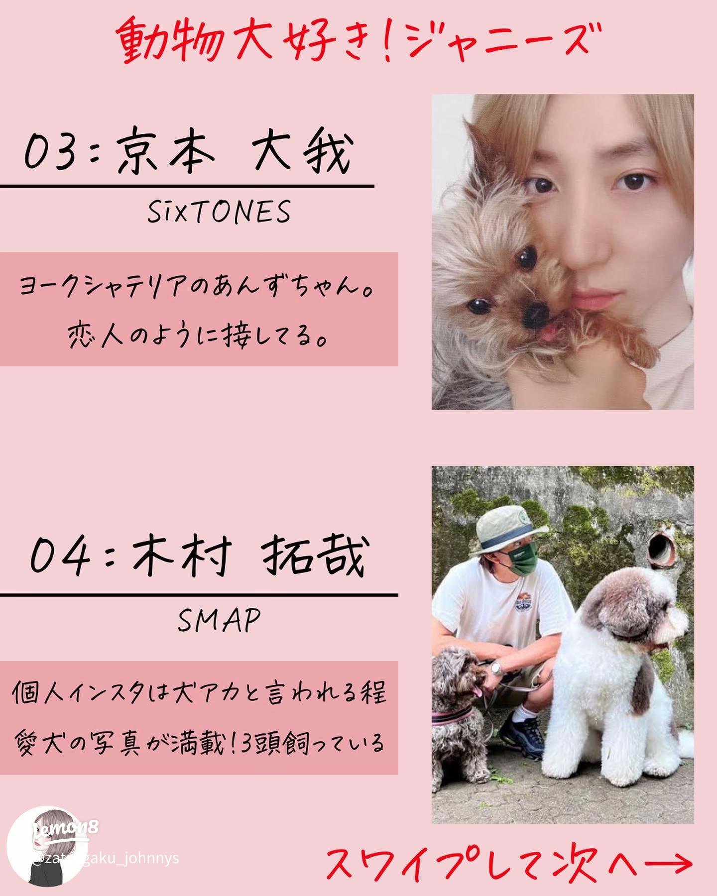 Snow Manペットまとめ 飼ってるメンバーは7人！名前や画像、エピソードを紹介！ジャニウィキ