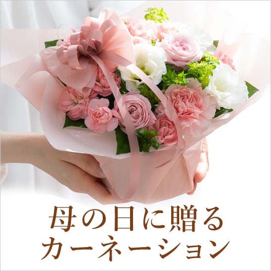 母の日にカーネーションを贈るのはなぜ？由来やおすすめの色とはイオン北海道 ｅショップ