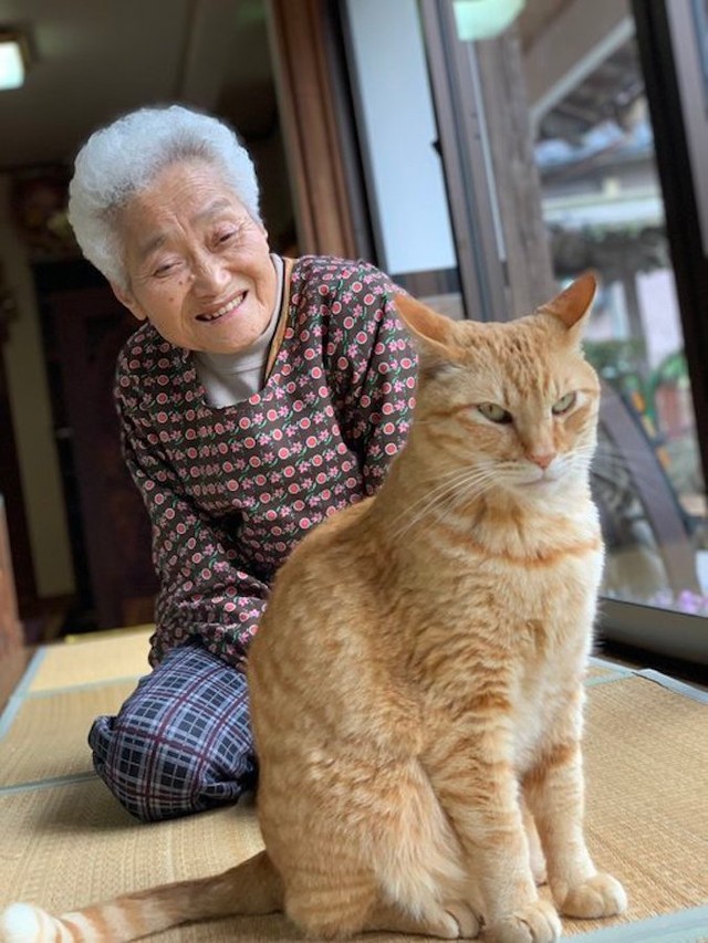 敬老の日に猫グッズをプレゼント！おばあちゃんへ贈る人気のおすすめ人気口コミギフトランキングocruyo オクルヨ