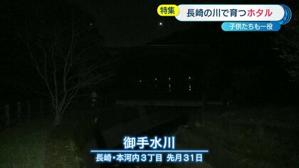 福生で「ホタルの赤ちゃん放流会」 親子連れなど70人参加 - 西多摩経済新聞