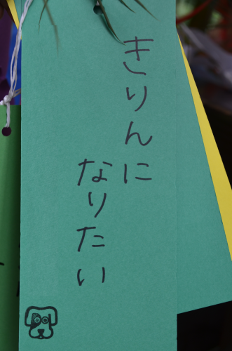 もうすぐ七夕 おうちの方と願い事を短冊に書いてきてもらいました！ 可愛いイラストも💕 クオリティが高い！ 保存版ですね！私たち保育士よりも上手過ぎて、 今度ぜひぜひ 描いてもらいたいです！ ２歳のクラスでは、先生が七夕の絵本を読んで、 みんなの願い事は何だっ