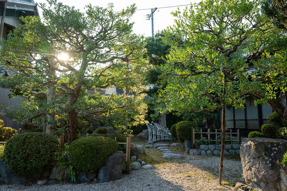 特集 6月のお庭仕事 Garden Mart ガーデンマート -ウィッチフォード社製植木鉢をはじめ、英国製ガーデニング用品のことなら