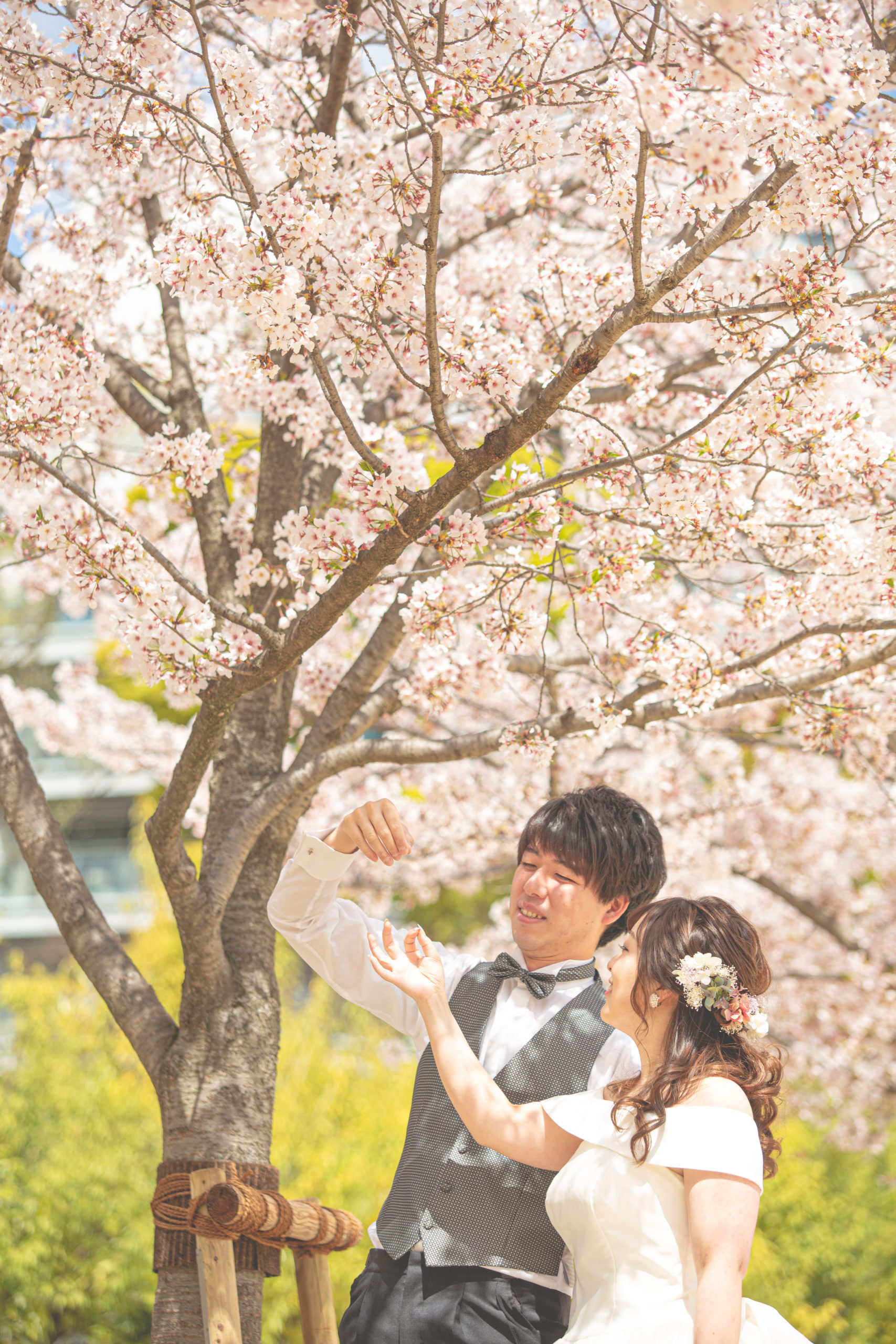 冬の沖縄イチオシ！ 桜のフォトウェディング体験ainowa沖縄リゾートウェディング