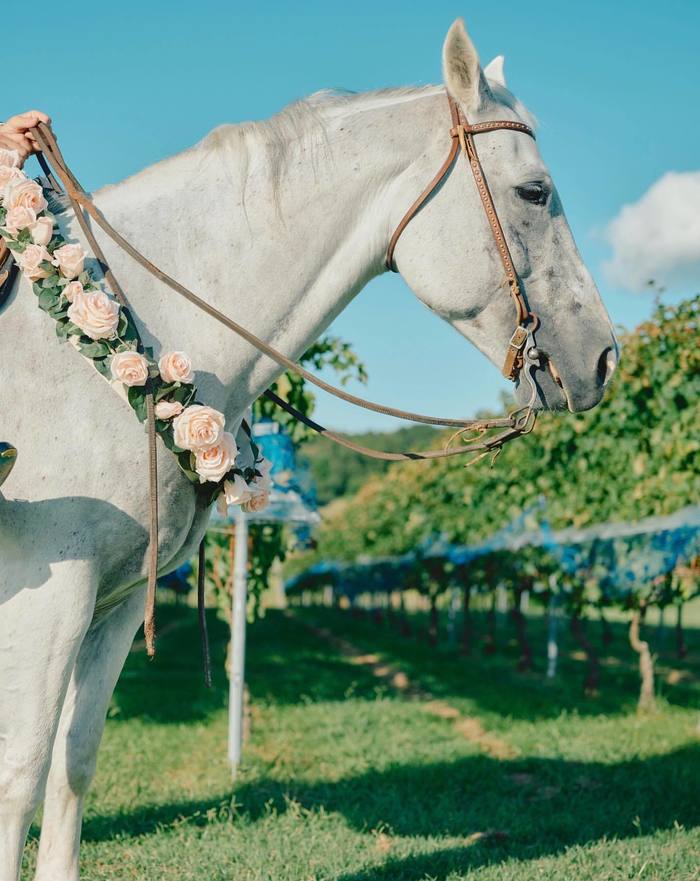あさぎーにょ 結婚式服装TikTok