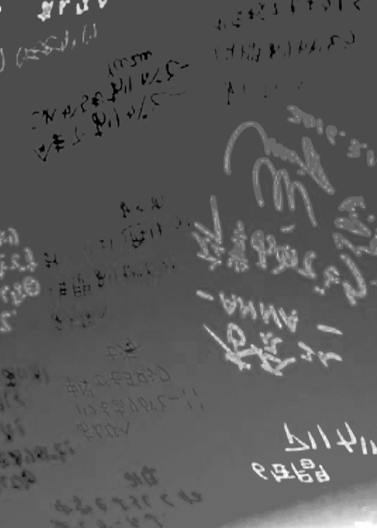 アルバム寄せ書き 卒業 スタバTikTok