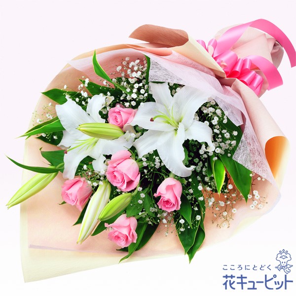 片思い」ｼｭｳｶｲﾄﾞｳの花言葉！園芸日記byhanuraみんなの趣味の園芸113572