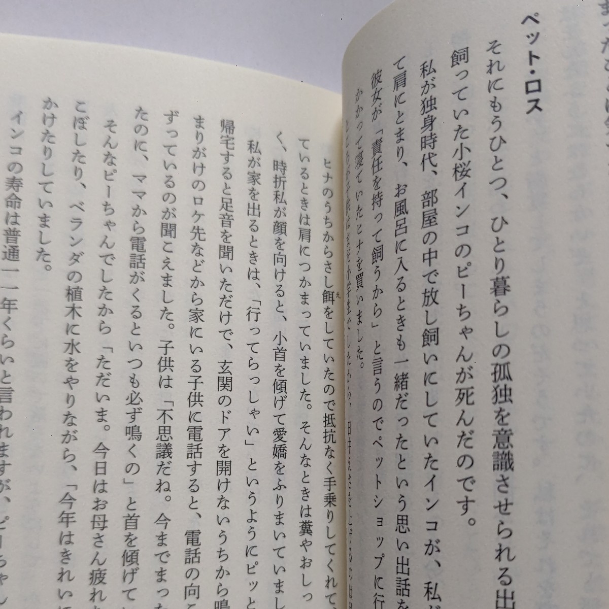 池上 季実子@ikegamikimiko_official• Instagram photos and videos