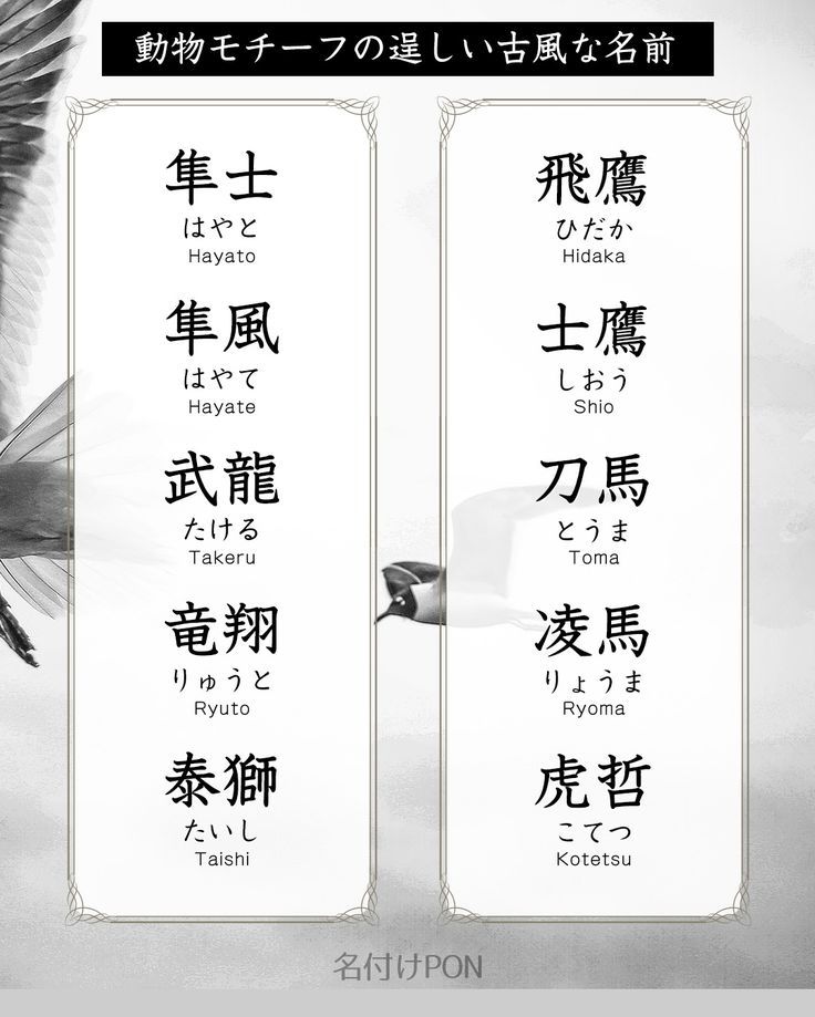 フランス語で幸せを運ぶ犬の名前をつけたい! おしゃれな外国語の名前40選– mimipets