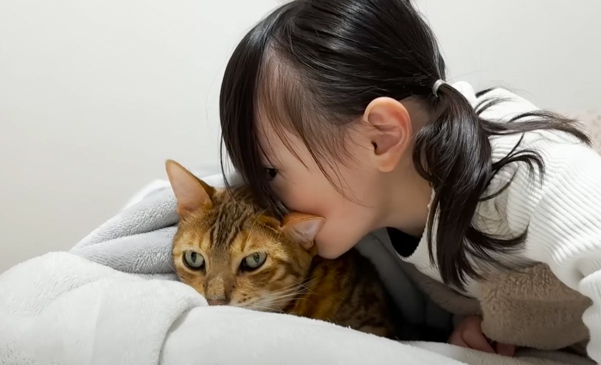 子供にだけ優しい元噛み付き猫と無抵抗すぎる穏やか猫を枕にしたときの反応の違い