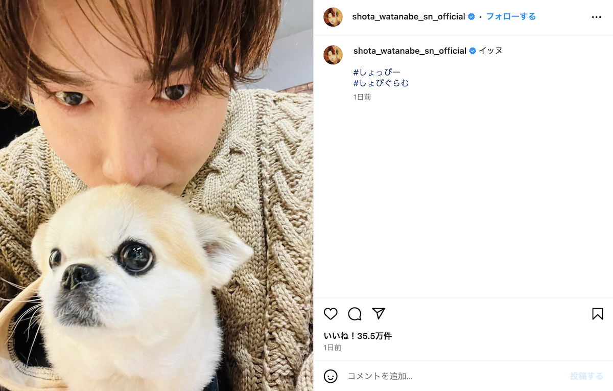 渡辺翔太 ペット飼ってるTikTok