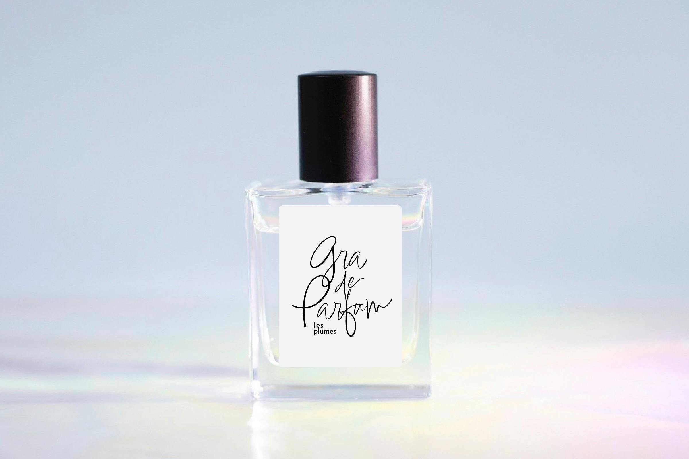 シンプルな空間に映える、スペシャルティコーヒーの世界株式会社FIND