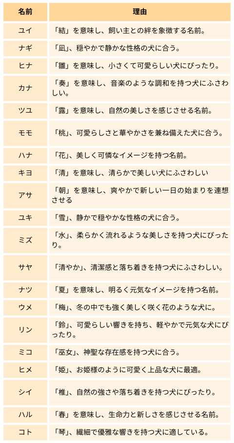 2024年 2音2文字のかっこいい&珍しい男の子の名前64選なまえごと名前のヒント