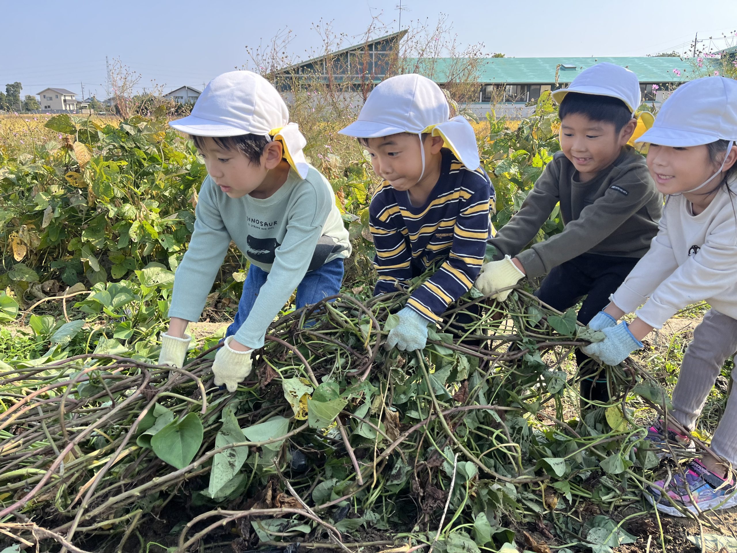 SnowMan ９人の家族写真がいい💛💜💙❤️🩷💚🧡🖤🤍 いわふか夫婦 ゆり組 末っ子ラウール snowman すのちゅーぶ shorts- YouTube