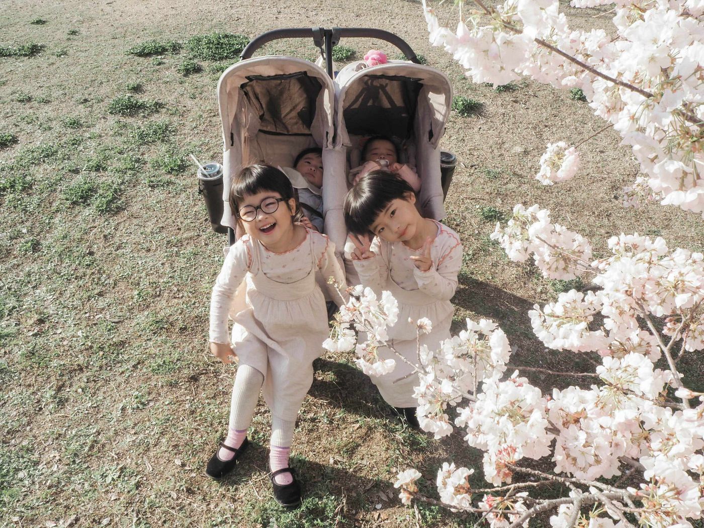 不思議「双子あるある」かわいいけど育児地獄!?妊娠・出産エピソードもkosodate LIFE 子育てライフ