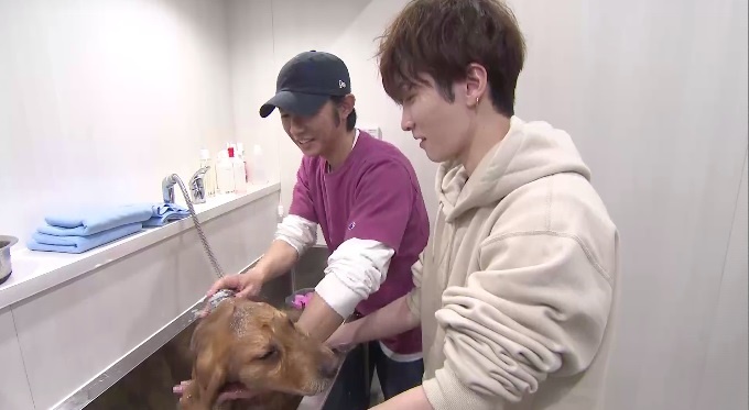 Snow Man 渡辺翔太、犬に負けない愛らしさ 自然な表情で戯れる1枚にファンから反響 - YouTube