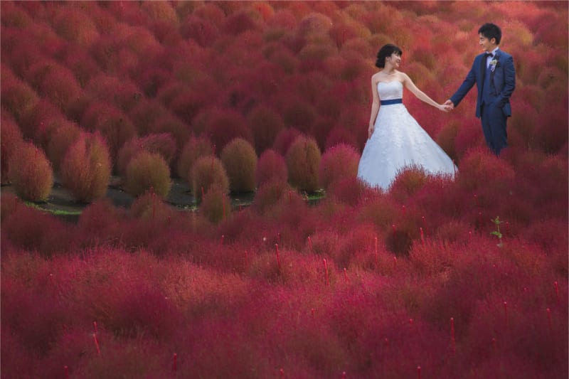 千葉でウエディングフォト撮影フォトスタジオ探しは結婚スタイルマガジン