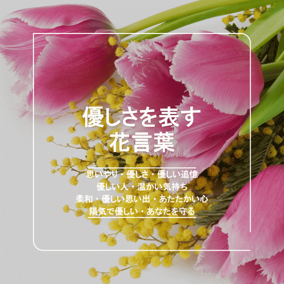 片思い」に関する花言葉恋愛のときめきや切なさを表すお花一覧観葉植物・お花の通販 AND PLANTSアンドプランツ