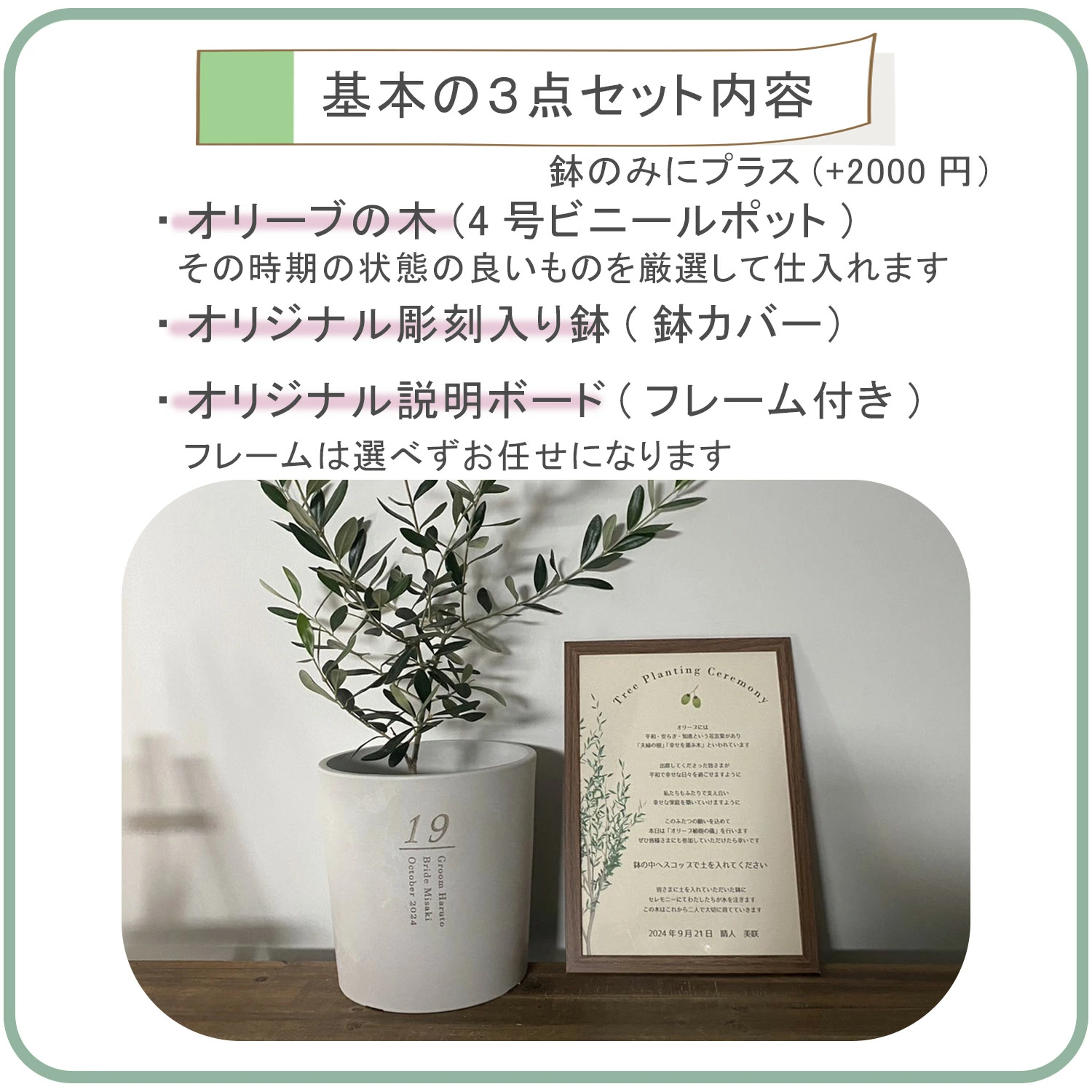 オリーブ の木 結婚式」の人気商品一覧安い商品を通販サイトから探す - 価格.com