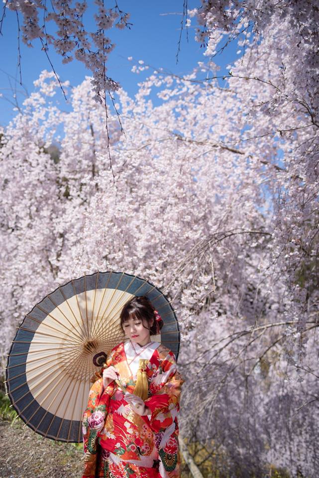 ウエディングフォトのクレール、2022桜ロケーション撮影キャンペーン受付中！株式会社キャラットのプレスリリース