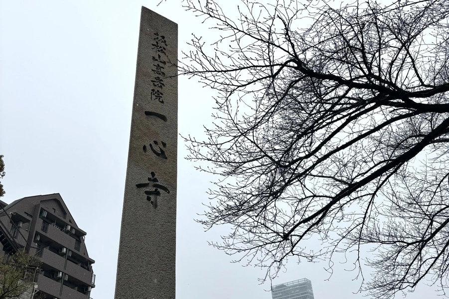 納骨と永代供養の違い 一心寺の場合お墓と永代供養
