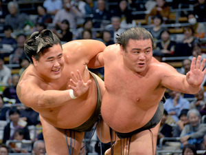 白鵬・千代の富士・北の湖の髷を結ってきた、相撲界の“生き字引”に聞く「横綱秘話」週刊女性PRIME