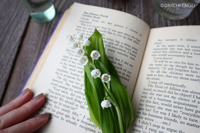 家族愛」の花言葉結婚式や母の日、父の日に贈りたい素敵なお花20選観葉植物・お花の通販 AND PLANTSアンドプランツ