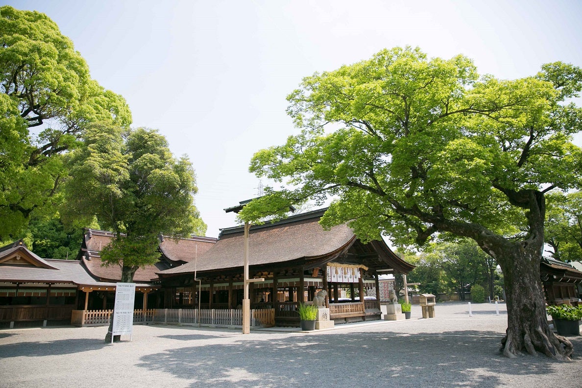 結婚式には誰を呼ぶ?ゲストの絞り方と悩んだ時の解決法 – 結婚式準備サイトCORDY コーディ