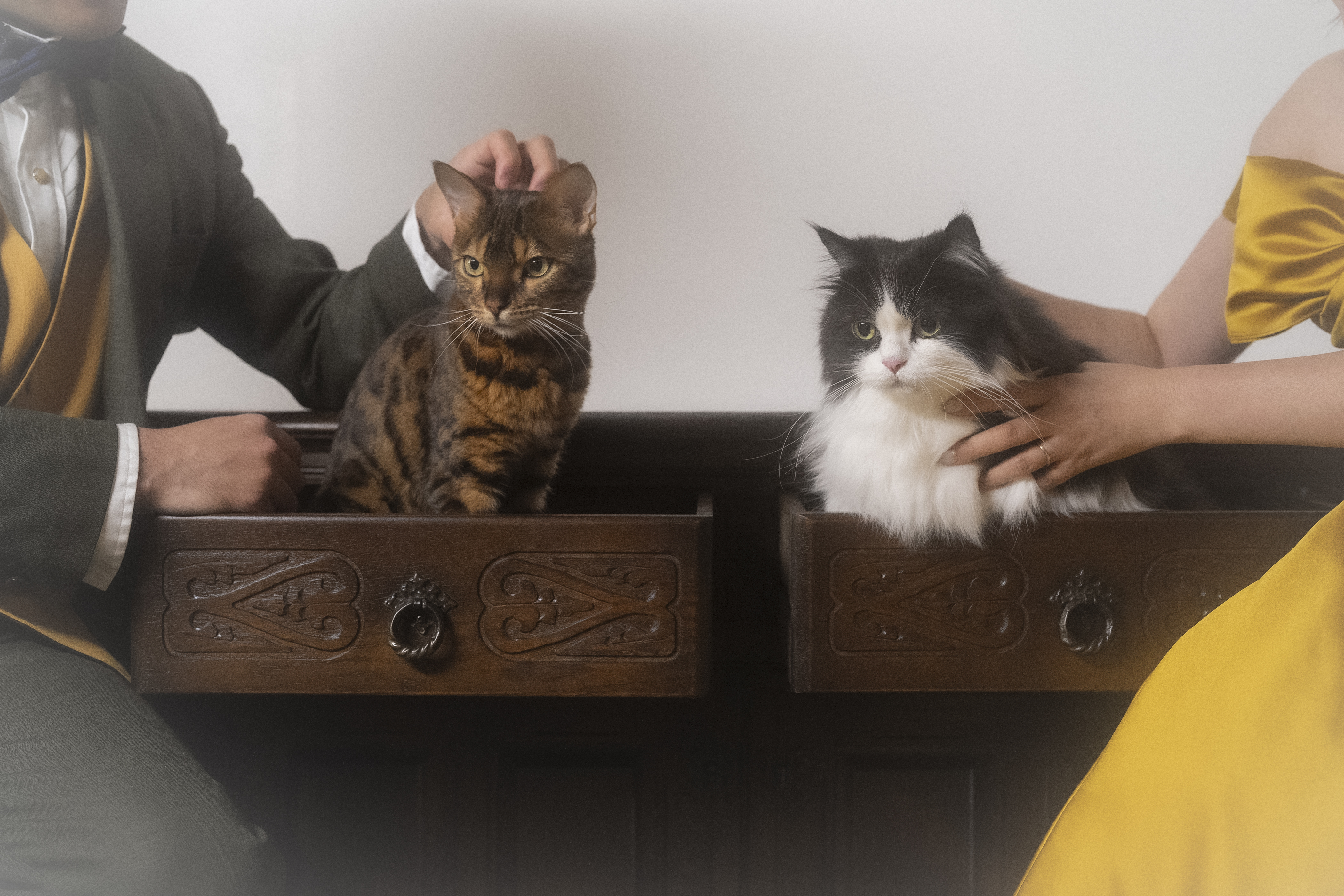 ねこさん取り置き！ウェディングフォト CAT♡猫♡NEKO♡ネコ =^・^=