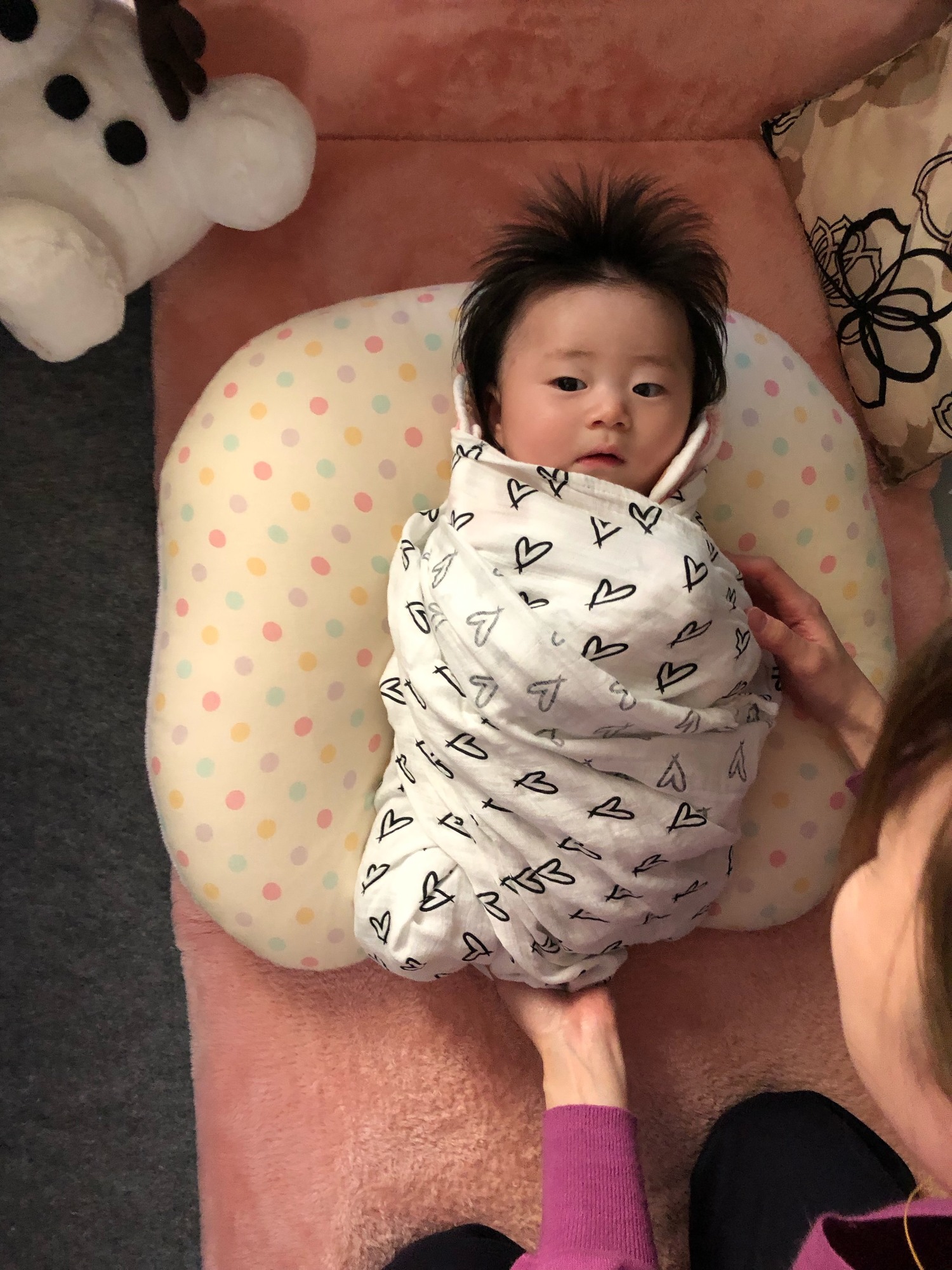 今日も偉いどらちゃん🐤꙳⋆ on X: 