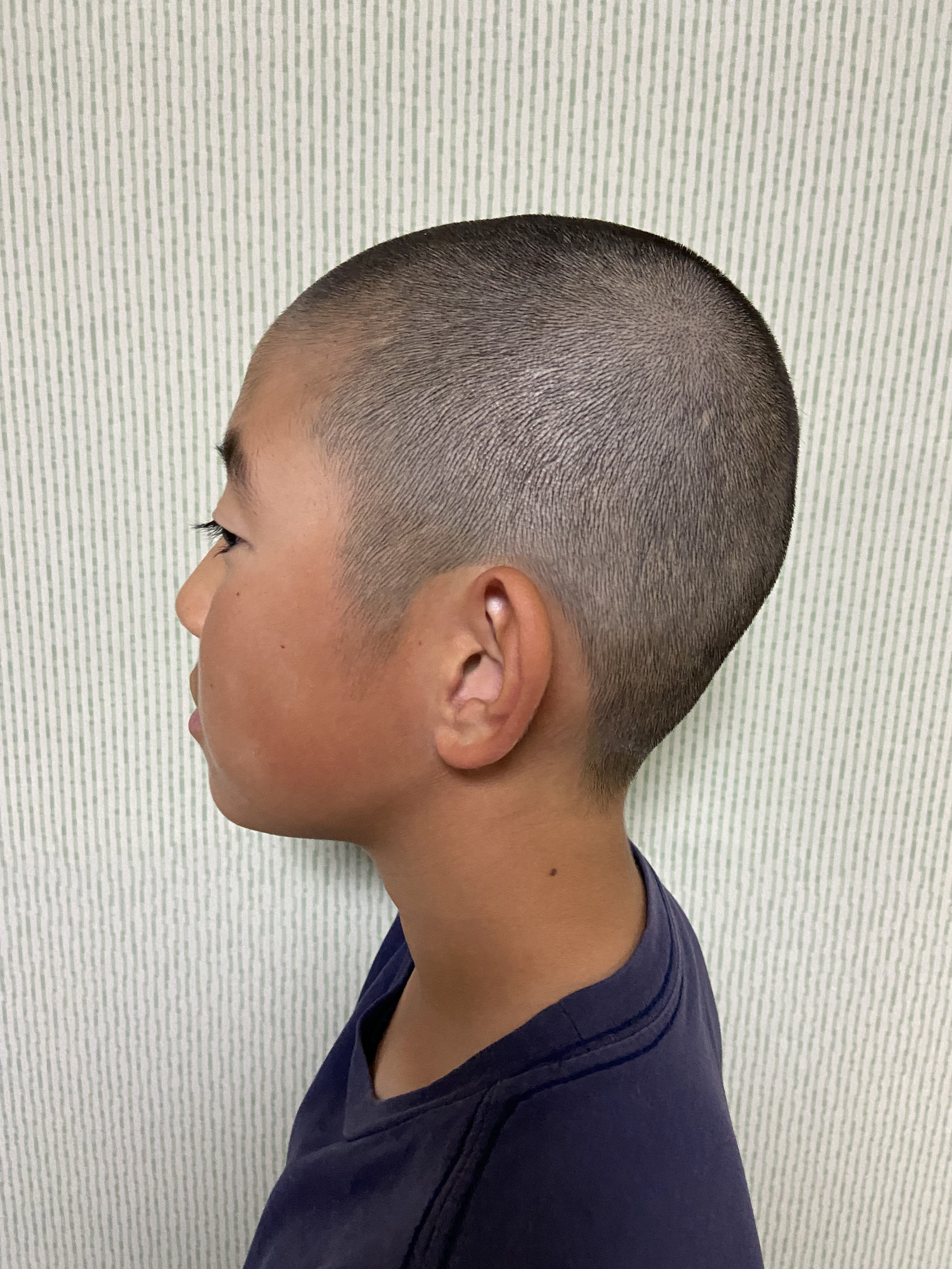 虎刈りにはしない！！ めっちゃ動く子供の坊主はこうやる！！コーラとバイクを愛する♡渋谷と恵比寿のフリーランスパパ美容師市川優の奮闘記 ときどき猫