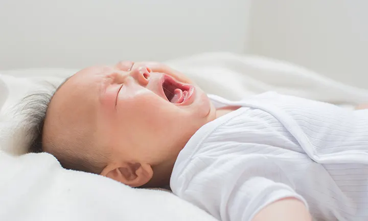 昼寝は明るい部屋？暗い部屋？どっち